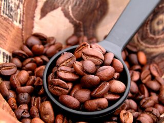 潮湿天气咖啡豆怎么保存？