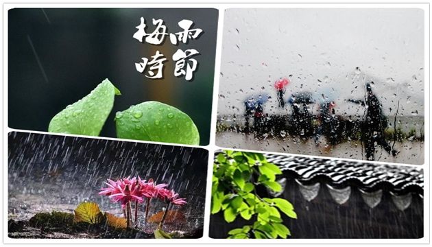 梅雨季节快要来了，现在了解这些除湿防潮技巧还不晚！