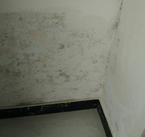 地下室潮湿、墙面洇水怎么办？