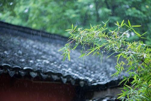 梅雨季让生活干爽舒适，如何正确除湿